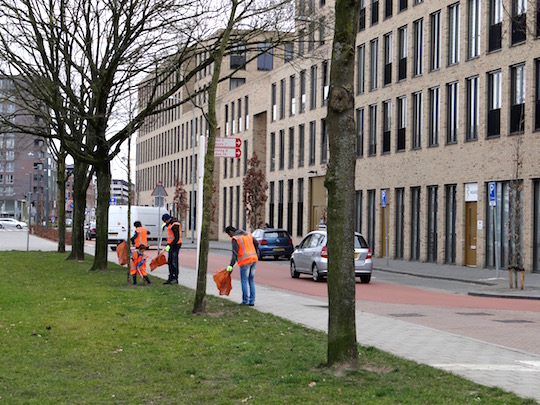 Boschveldschoon.jpg title = 