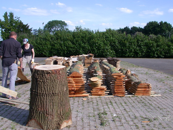 ZagenBomen.jpg title = 